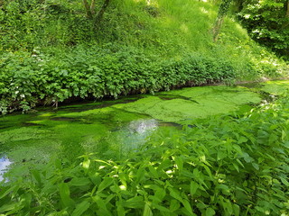 Le long de la Bi&egrave;vre