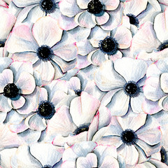 Seamless pattern of watercolor white anemones, hand drawn on a white background
