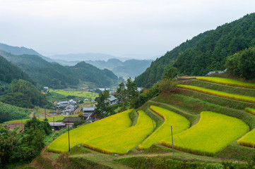 農村の斜面に田んぼが続く様子