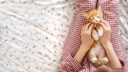 Little cute ginger kitty enjoys stroking. Caucasian girl's hand stroked the little red and white fluffy kitten. Selective focus and copy space. Cat tired after an active game. Domestic animals concept