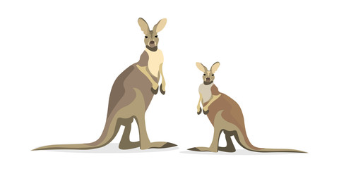 Cute kangaroo isolated on white background flat vector illustration
