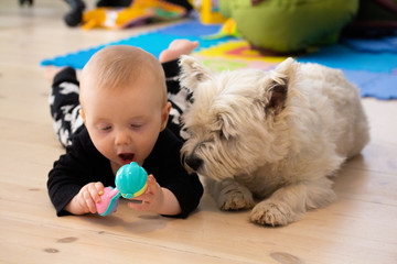 baby and dog