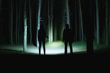 Two people in the forest at night - obrazy, fototapety, plakaty