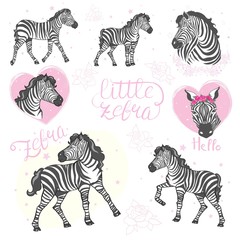 Obraz na płótnie Canvas Set of funny cartoon zebras on white background. Cute colorful baby zebras on bike, with glasses and baloons