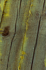 old wood cracked long cracks light beige background hard weathered hard base