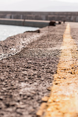 background urban vertical design yellow line asphalt leaves into the distance pier sea dividing strip