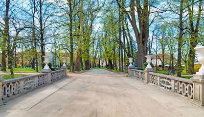 Avenue in the Park