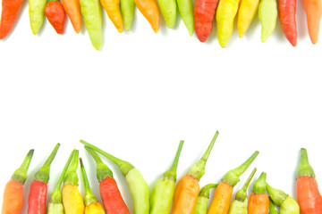 chilli isolated on white background with space for title