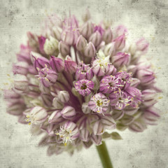  old paper background