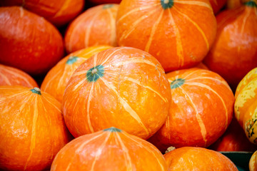 Fruits at the market display stall