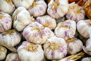 Garlic at the market display stall