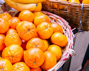 Citrus fruits at the market display stall