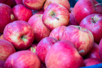 Apples at the market display stall