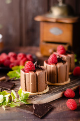Obraz na płótnie Canvas Homemade chocolate mini cakes