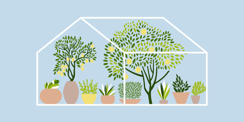 Greenhouse with fruit trees, herbs and plants in pots. Vector illustration.