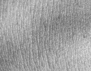 Human skin texture close up in black and white colors