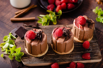 Homemade chocolate mini cakes