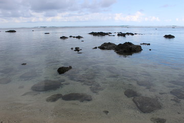 marée basse