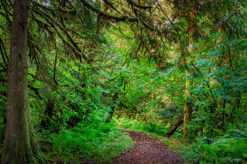 Alice Lake Provincial Park, British Columbia, Canada