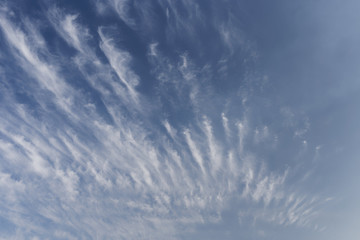 Beautiful cirrus clouds. Blue sky with beautiful clouds. Sky background