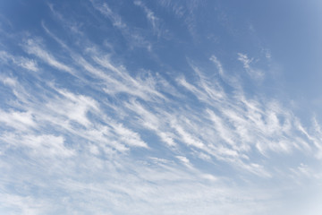 Beautiful cirrus clouds. Blue sky with beautiful clouds. Sky background