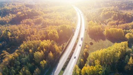 Aerial view of road in autumn forest at sunset. Amazing landscape with rural road, trees with red and orange leaves.