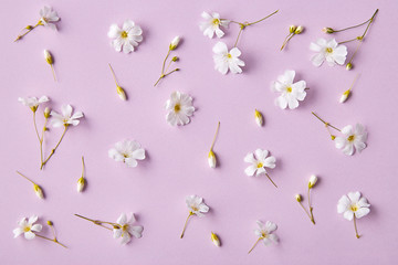 Spring flowers pattern on a purple background. Romantic blossom floral decoration design viewed from above. Top view