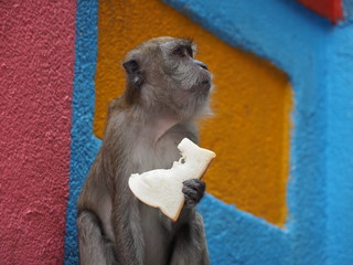 Human Money with Bread