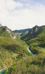 Fototapeta na wymiar Green river valley canyon wide summer panorama Alpine mountain landscape. Mountain forest landscape. Tara River, Durmitor National Park, Montenegro