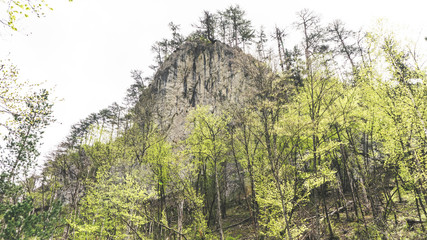 Fototapeta premium Rock mountain cliff and blue sky. Photo of Huge Rock Mountains Surrounded by Green Trees. Epic Mountain Landscape