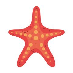 summer starfish animal isolated icon