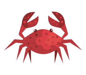 crab marine animal isolated icon