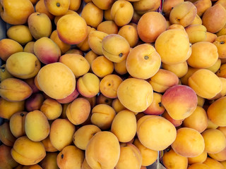 apricot in the market