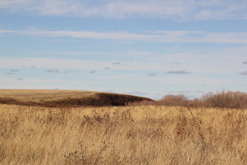 Obraz premium dry grass and blue sky