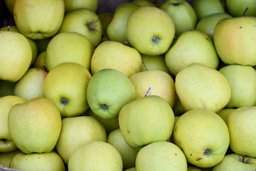 Group of fresh green apples in display for sale at a weekend street food market