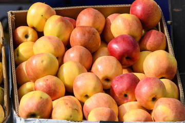 Group of fresh yellow apples in display for sale in a cardboard at a weekend street food market