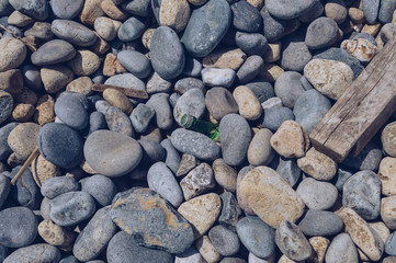 broken glass bottle inside of pebbles on the beach