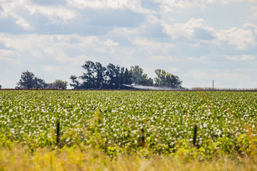 Fototapeta na wymiar A crop duster applies chemicals to a field.