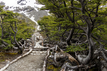 Path to the Martial Glacier, Ushuaia, Argentina