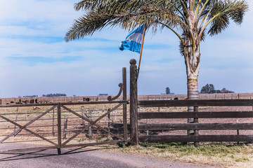 Tranquera in the humid Pampa of Argentina, breeding of animals, flags