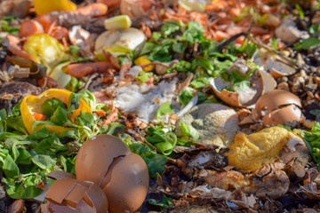 Compost Bin in the Garden. Composting Pile of Eggs, Fruits and Vegetables Scraps