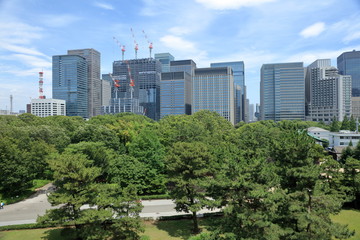Fototapeta premium 皇居東御苑の二の丸庭園と都心のビル群
