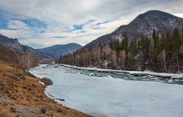 Fototapeta na wymiar Russia. The South Of Western Siberia. Early spring in the Altai mountains, the Katun' river.