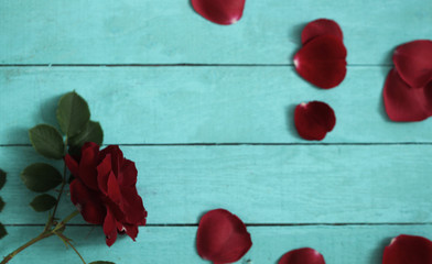 Roses background with petals on wood. Valentines day love card