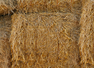 Yellow straw is pressed into bales .Texture or background.