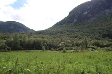 Fototapeta premium Road trip