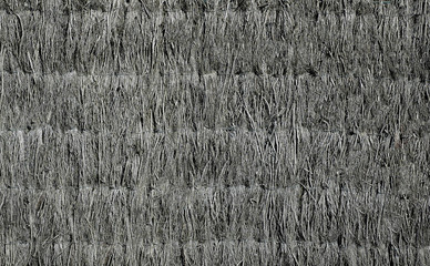 The roof of the old house is fortified with dry grass of gray color .Texture or background.