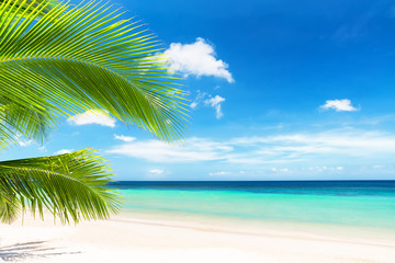 Obraz na płótnie Canvas Coconut palm tree against blue sky and beautiful beach