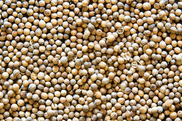 coriander grain texture background