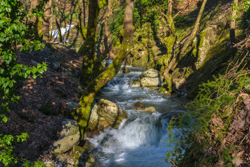 Steni village river at Dirfy mountain, Evia
